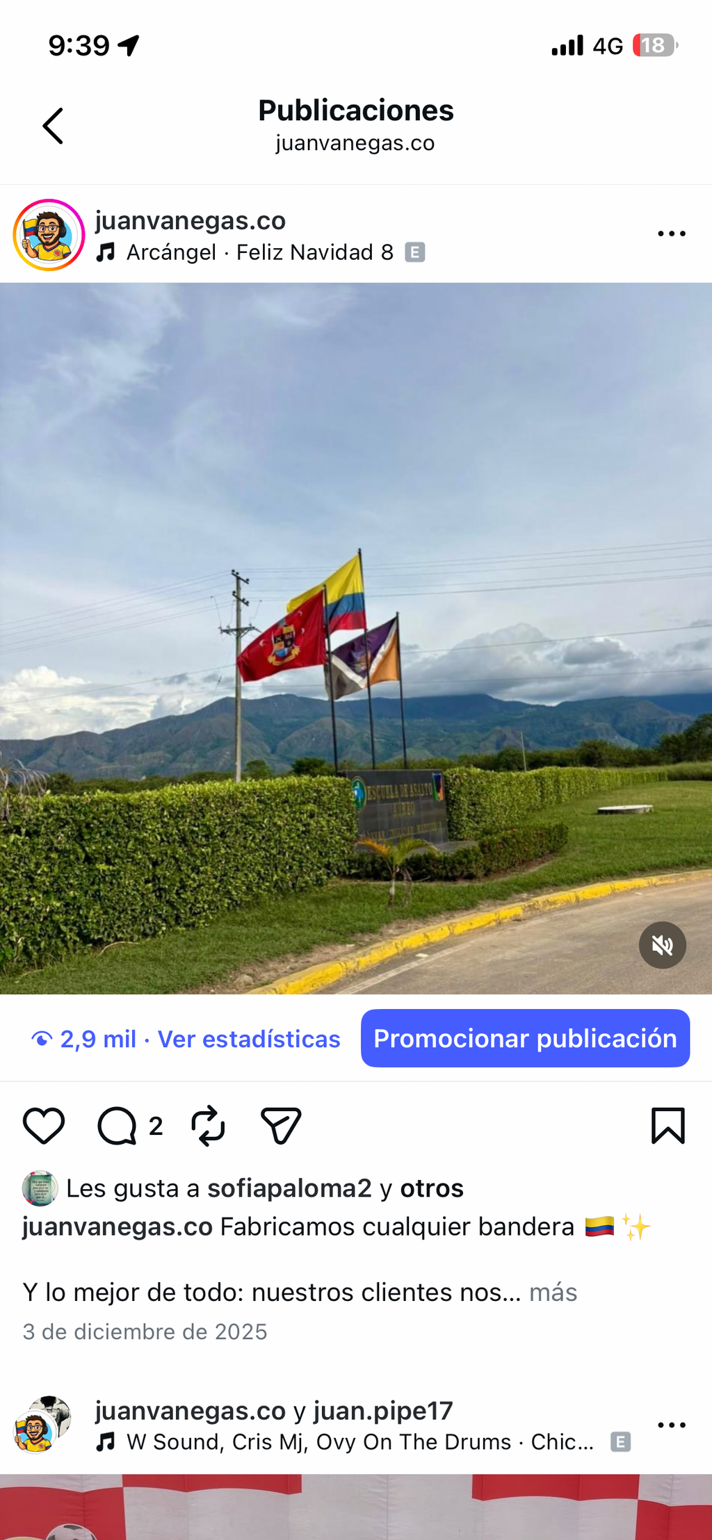 Banderas Oficiales