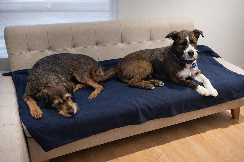 Cobija Para Mascotas