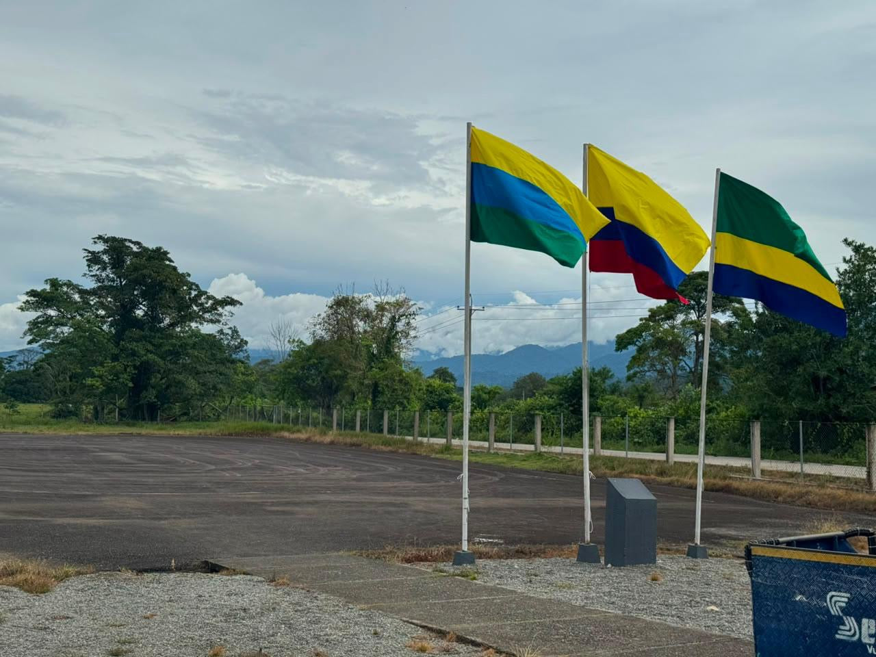Banderas Oficiales