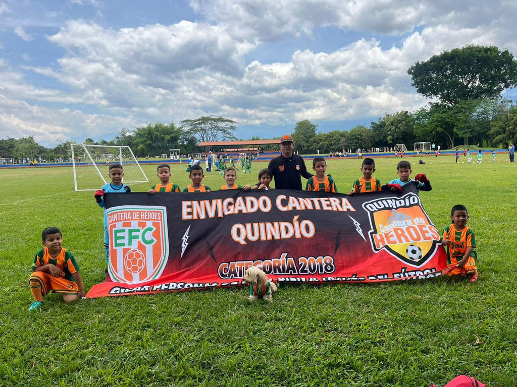 Bandera exterior 7x1,45