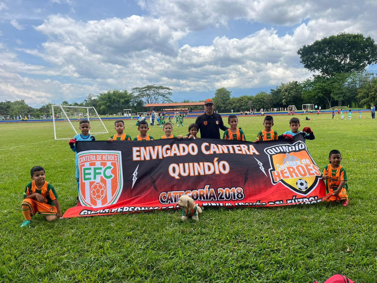 Bandera exterior 7x1,45