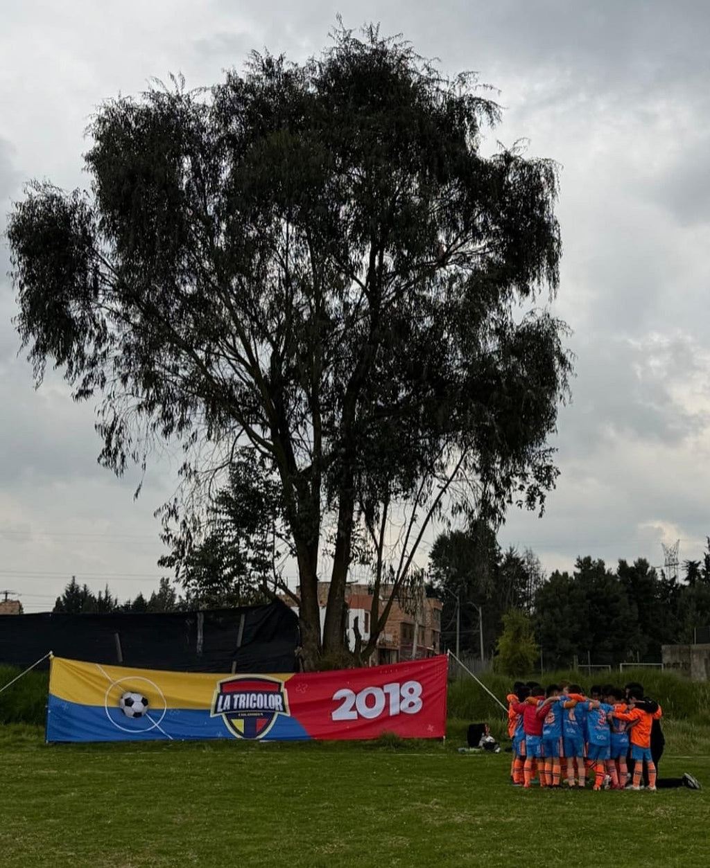 Bandera exterior 8x1,45